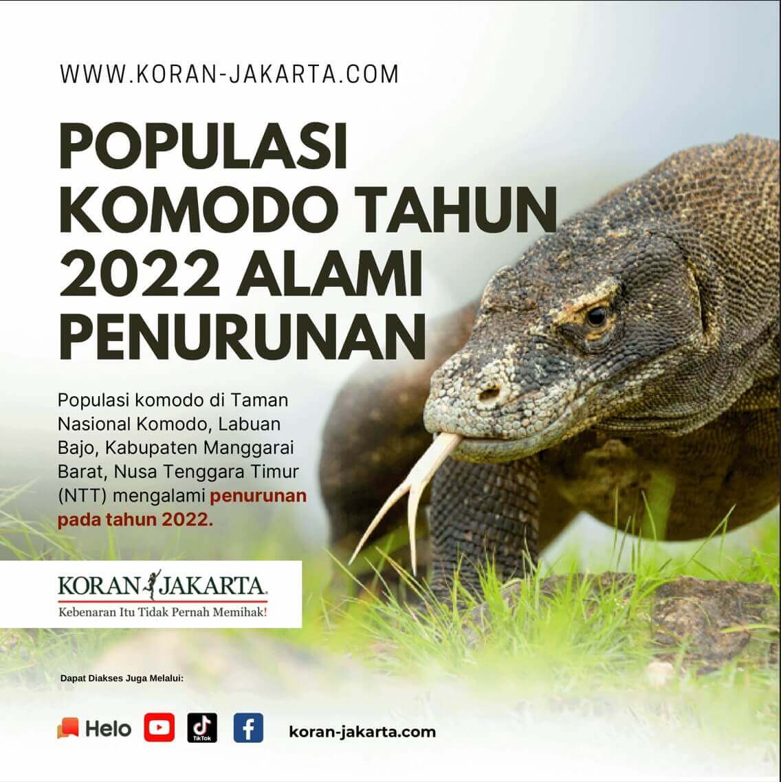 Populasi Komodo